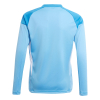 JI9729 adidas Tiro 25 Competition LS Junior GK Jersey blue burst