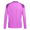 JJ1934 adidas Tiro 25 Competition LS Junior GK Jersey purple burst