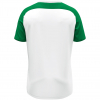 4245-029 JAKO Vintage SS Goalkeeper Jersey White/Green