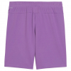70575233 Puma Team Goal GK Shorts Ultraviolet