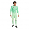 JH3316 adidas Tiro 25 Pro Goalkeeper Tights/Shorts glory mint
