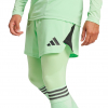 JH3316 adidas Tiro 25 Pro Goalkeeper Tights/Shorts glory mint