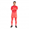 JH3311 adidas Tiro 25 Pro Goalkeeper Tights/Shorts shock red