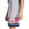 JP3410 adidas Squadra 25 SS GK Jersey Grey / Navy / Ruby