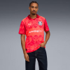 78107010 Puma x Kidsuper PALMEIRAS GK Jersey Glowing Red-Dark Crimson