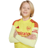 JI9538 adidas Arsenal FC LS Goalkeeper Jersey Junior
