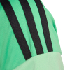 JZ4089 adidas Liverpool FC SS Goalkeeper Jersey Junior glory mint