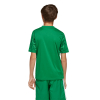JJ1956 adidas ICON 25 SS Junior GK Jersey Team Green