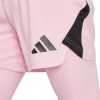 JH3312 adidas Tiro 25 Pro Goalkeeper Tights/Shorts Pink