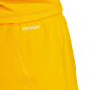 JM3541 adidas Tiro 25 Pro Goalkeeper Tights/Shorts Orange