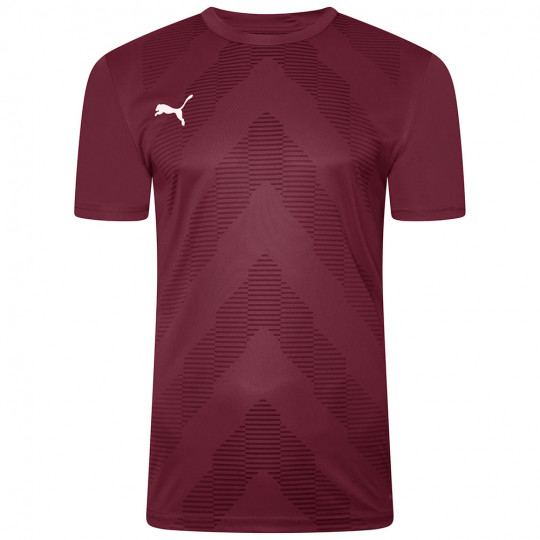 Puma Team Glory GK Jersey