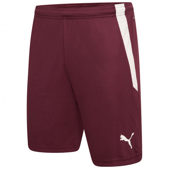 Puma Team Liga GK Shorts