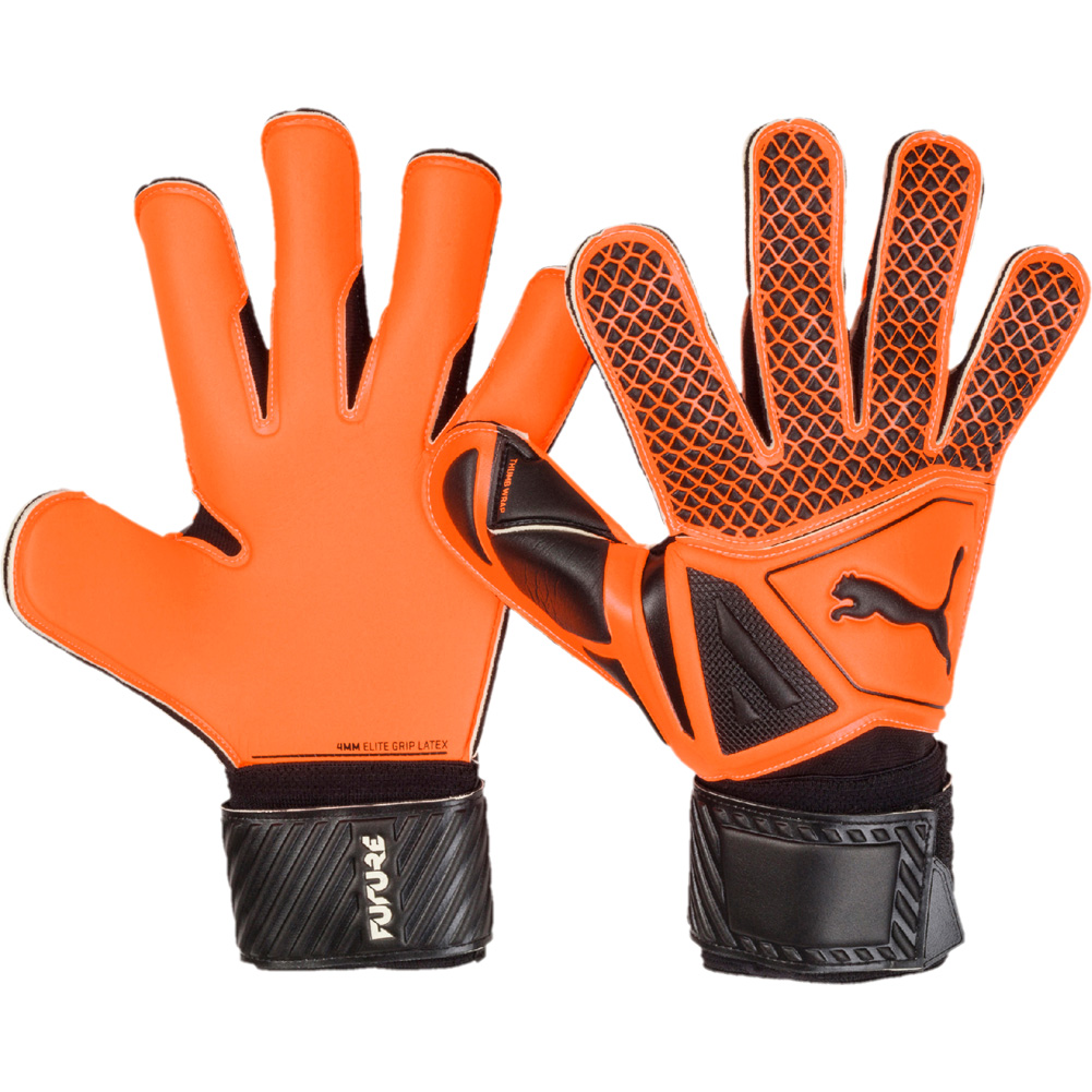 Puma FUTURE GRIP 2.2 Goalkeeper Gloves | eBay