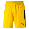 Puma LIGA GK SHORTS