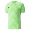 Puma Team Glory GK Jersey