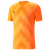 Puma Team Glory GK Jersey