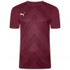 Puma Team Glory GK Jersey