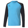 Puma Team Pacer GK Jersey