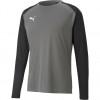 Puma Team Pacer GK Jersey