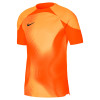 Nike Gardien IV GK Jersey SHORT SLEEVE