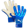 Puma FUTURE Pro Hybrid EDERSON