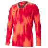 Puma Team Target GK Jersey