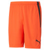 Puma Team Liga GK Shorts