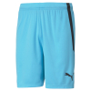 Puma Team Liga GK Shorts