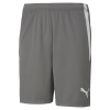 Puma Team Liga GK Shorts