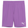 Puma Team Goal GK Shorts