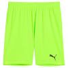 Puma Team Goal GK Shorts