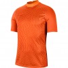 Nike GARDIEN III GK Short Sleeve Jersey