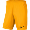 Nike DRY PARK III SHORT