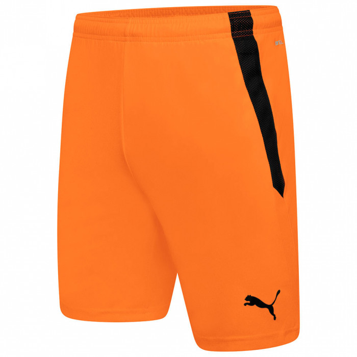 Puma Team Liga GK Shorts Neon Citrus
