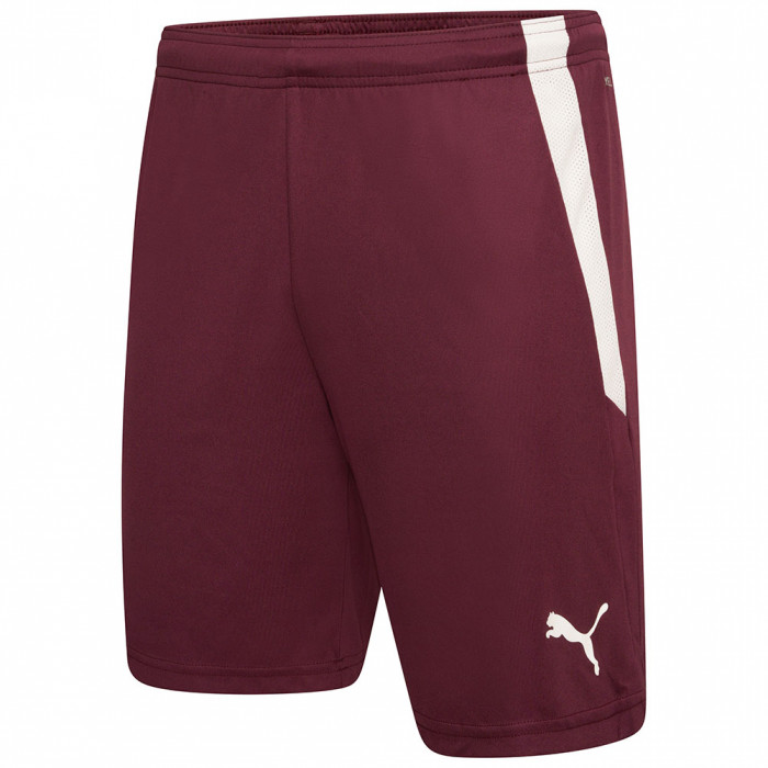  70492424 Puma Team Liga GK Shorts Grape Wine 