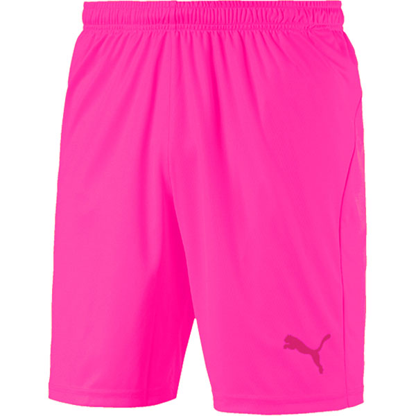 Puma Goalkeeper Shorts Pink