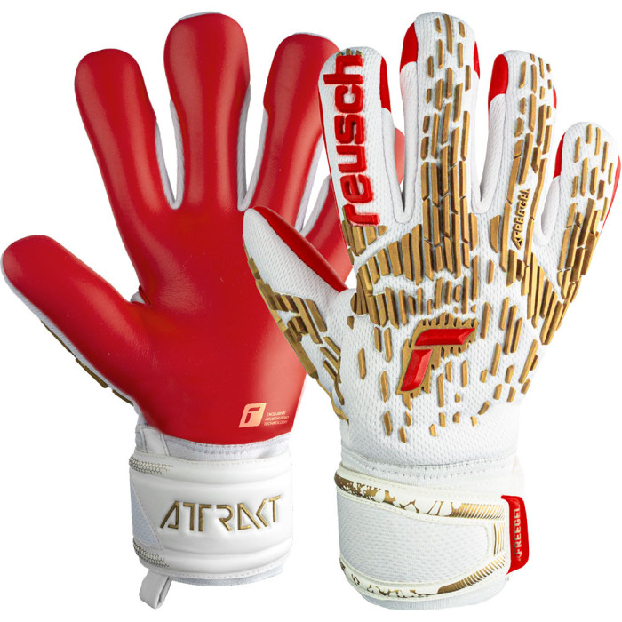 Reusch Attrakt Freegel Silver Junior