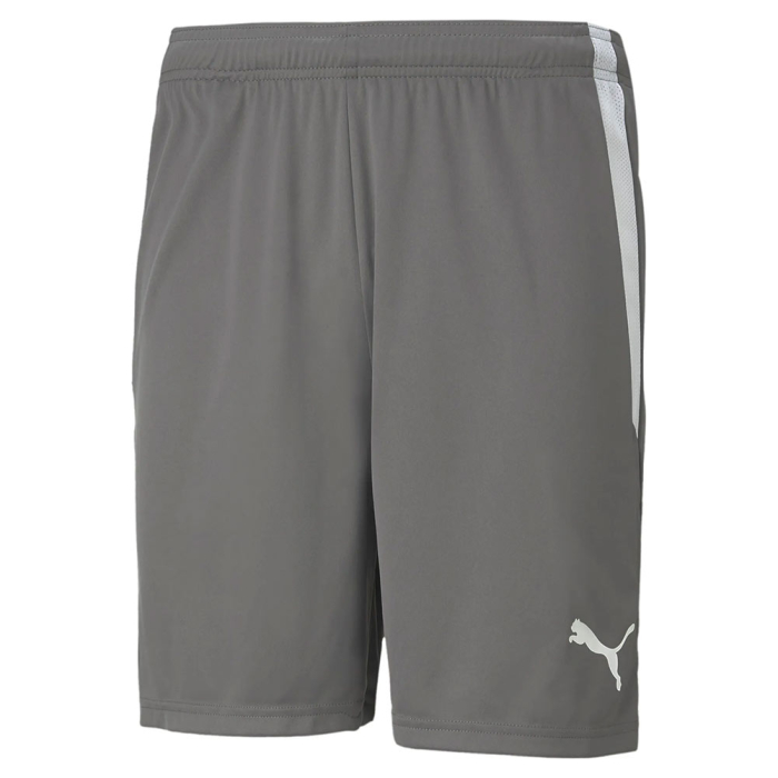 70492413 Puma Team Liga GK Shorts GREY