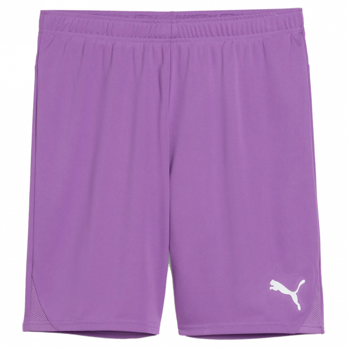 70575233 Puma Team Goal GK Shorts Ultraviolet